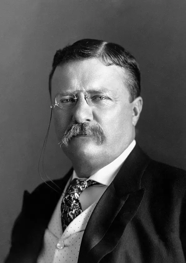 Theodore Roosevelt portrait