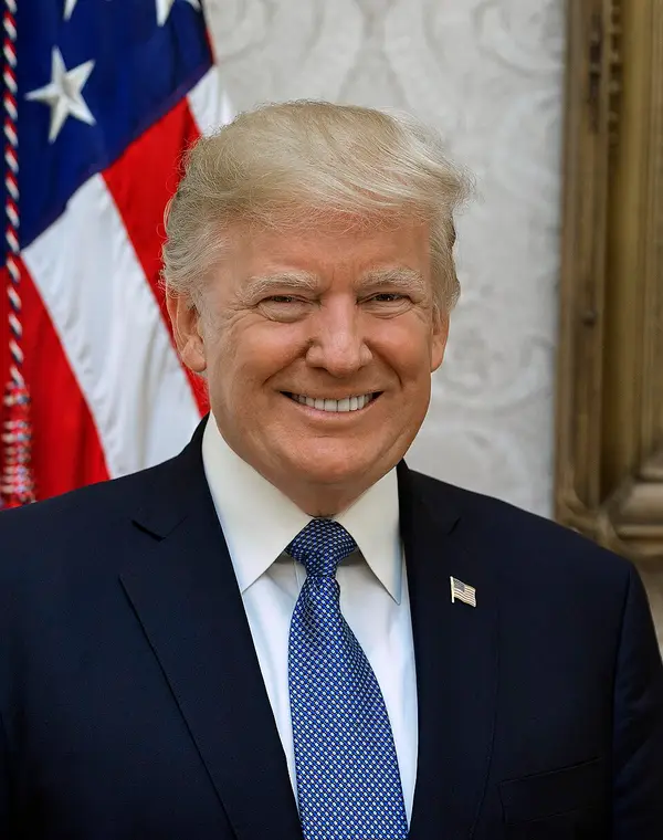 Donald Trump portrait